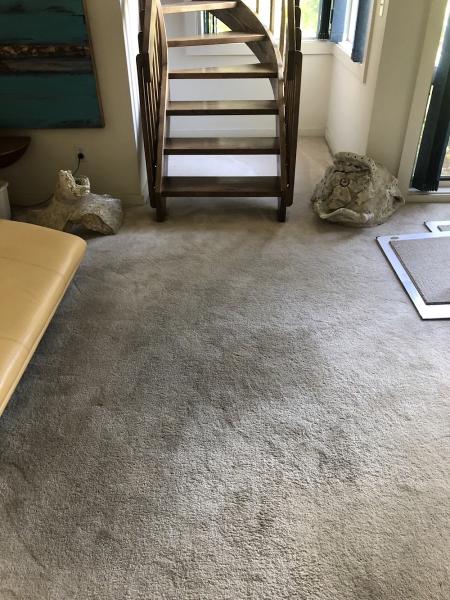 Straus Carpets