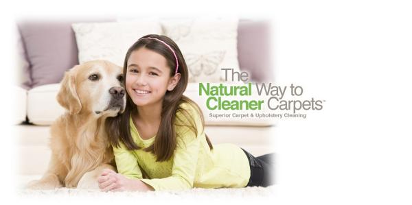 Chem-Dry Oasis: Carpet