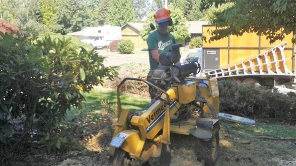 Clay's Tree Service
