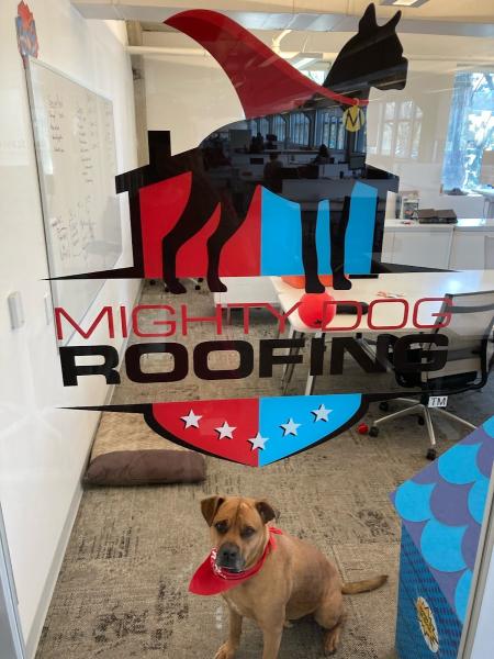 Mighty Dog Roofing