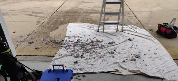 Tom's Dryer Vent Cleaning