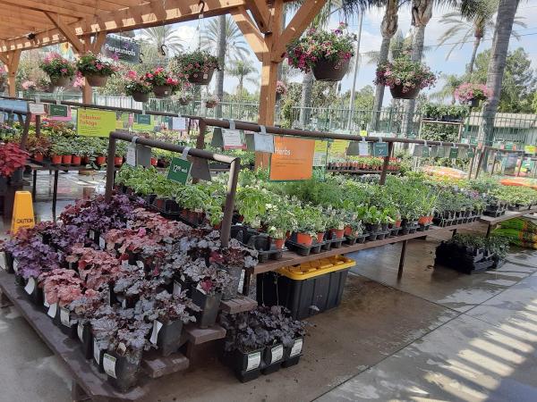 Armstrong Garden Centers