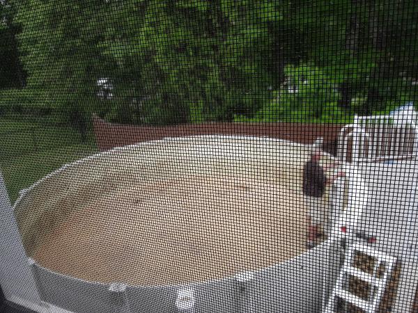 BP Pools