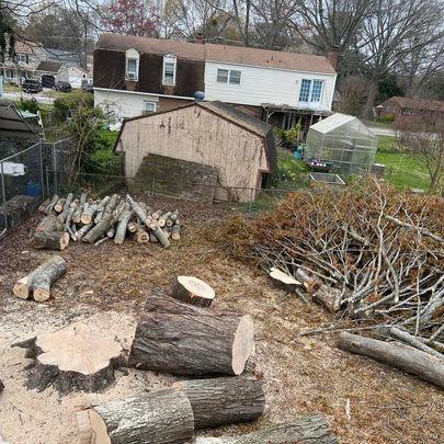 Lindbergh's Tree Service Greensboro