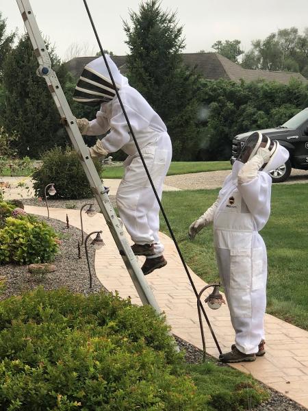 Irish Brothers Pest Control