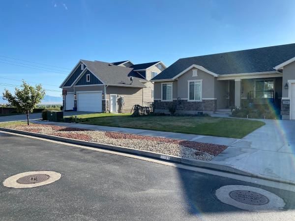 Ginger Bee Farms & Landscaping