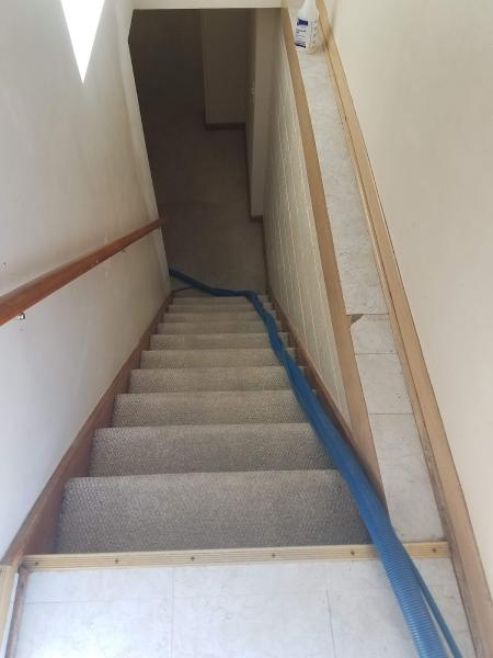 Christina's Carpet Care