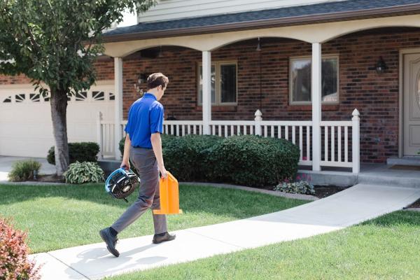 Zerorez Carpet Cleaning