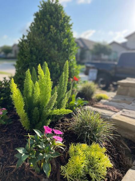 Trademark Landscape Inc.