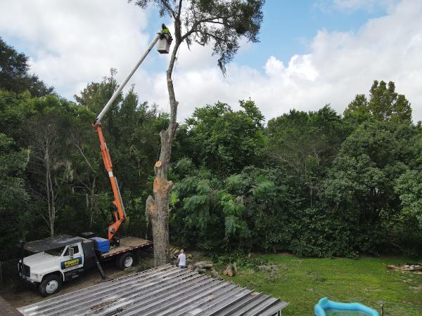 Smart's Tree Service LLC