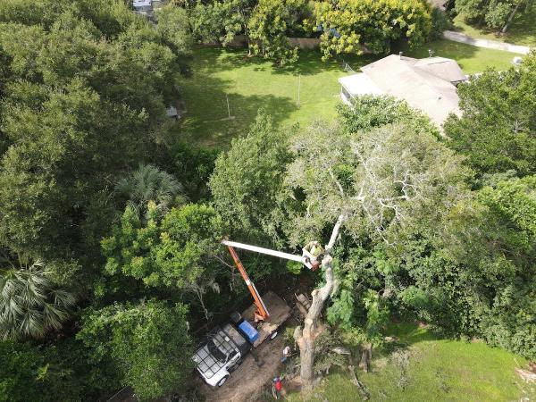 Smart's Tree Service LLC