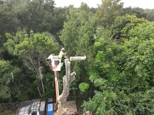 Smart's Tree Service LLC