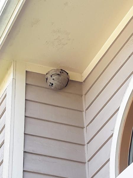 Q Pest Control Inc