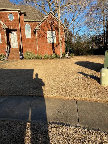 Ulch Mulch