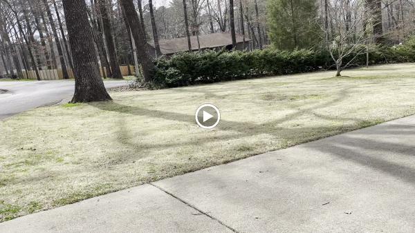 Ulch Mulch