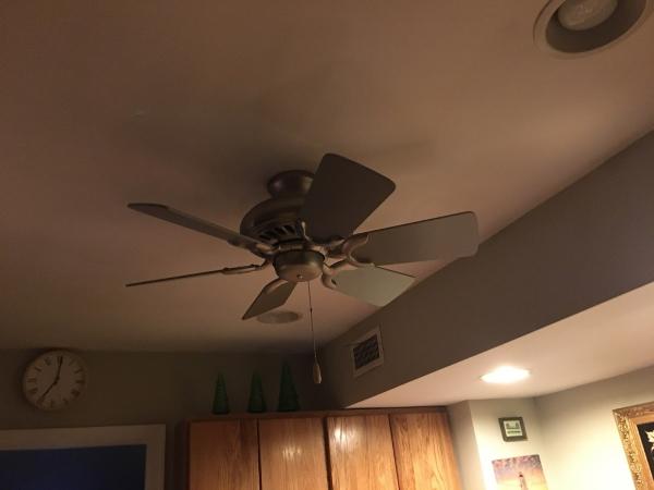 Delcollo Electric Inc.