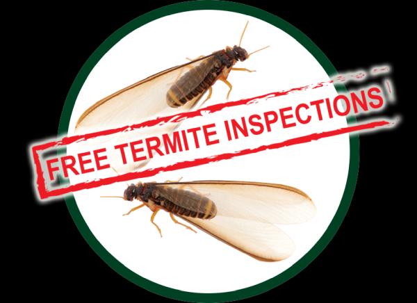 Kilter Termite and Pest Control