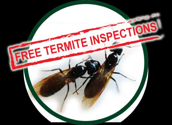 Kilter Termite and Pest Control