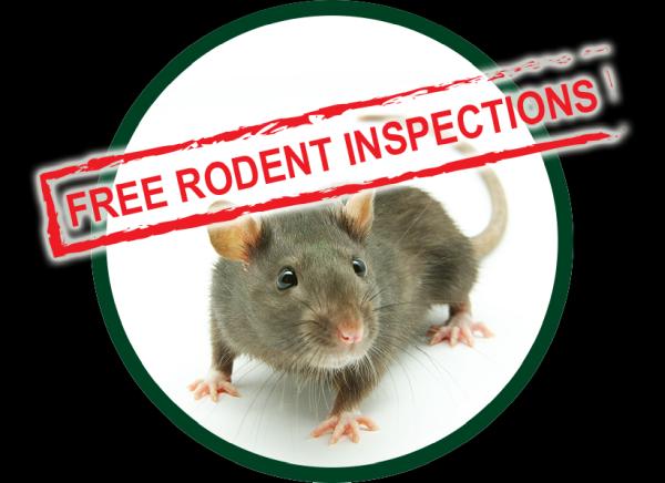 Kilter Termite and Pest Control