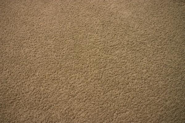 Dependable Carpet Care