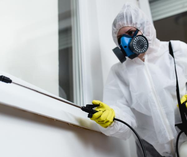 Attack Pest and Termite Control Management