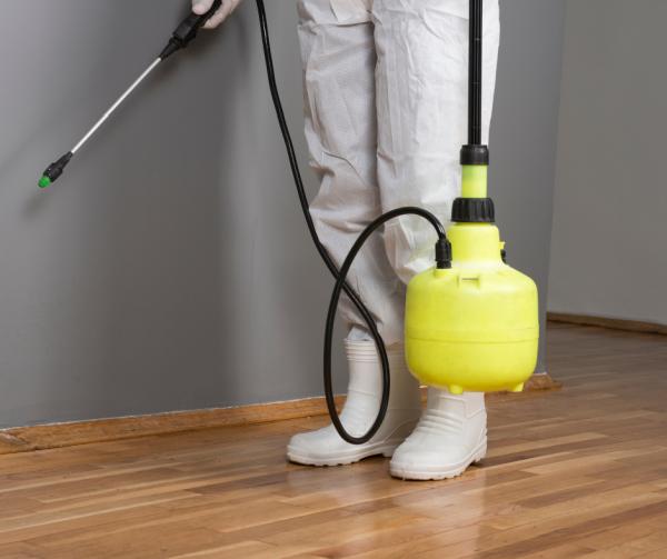 Attack Pest and Termite Control Management