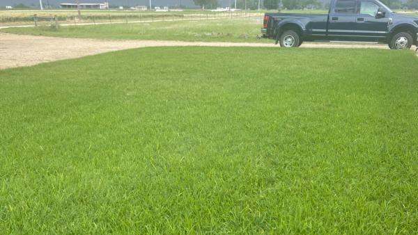C&C Lawn and Irrigation