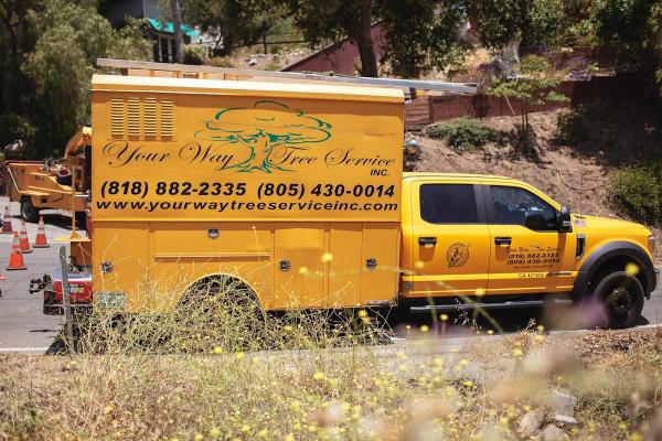 Your Way Tree Service