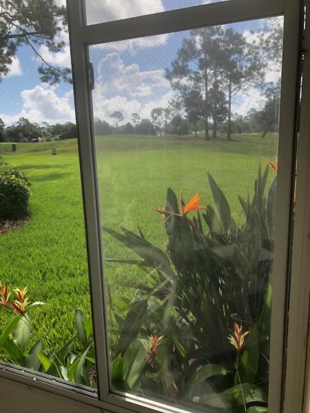 Coastal Clear Window Cleaning