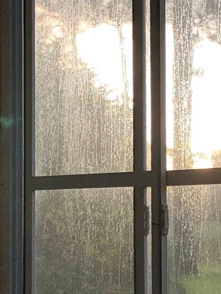 Coastal Clear Window Cleaning
