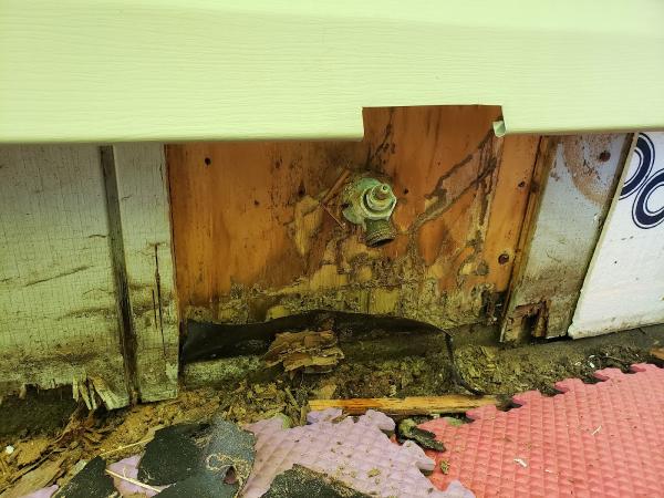 Detect Termite & Moisture Services/ Brickkicker Home Inspections