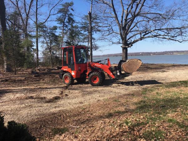 Good ol' Boyz Tree Service
