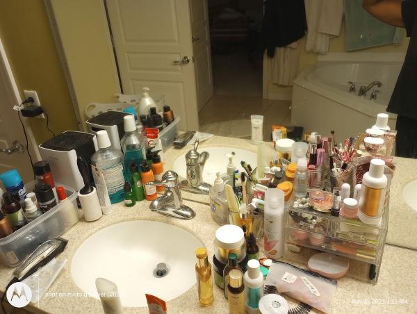 The Cleanout Master