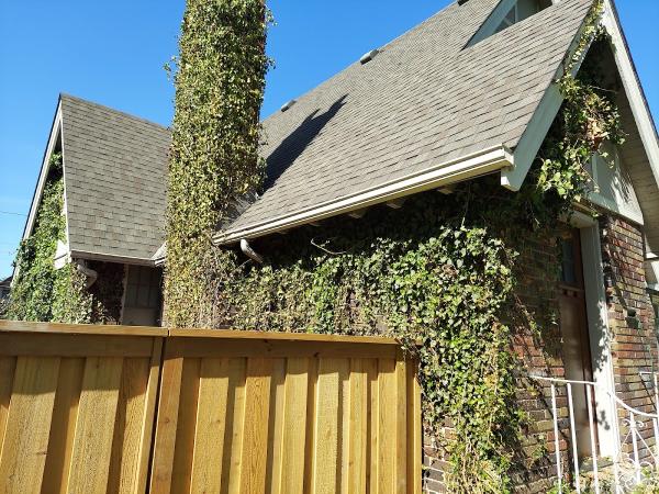 JPM Handyman & Painting Services