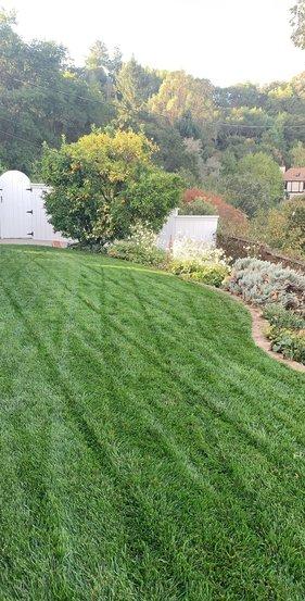 Danville Landscaping