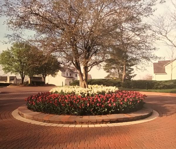 Alan's Landscaping Inc