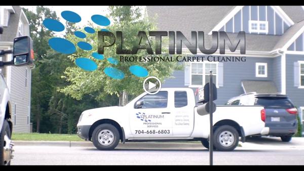 Platinum Professional Carpet Cleaning