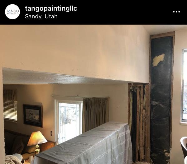 Tango Painting LLC