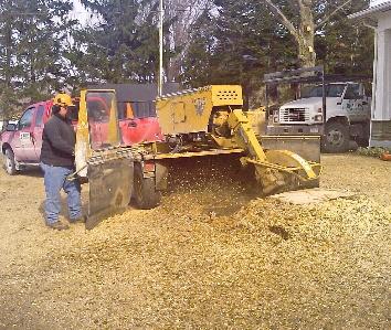 All Pro Tree Service