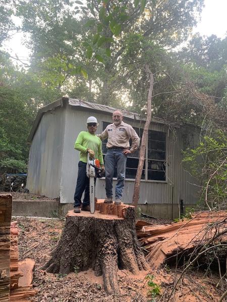 Edras Tree Services