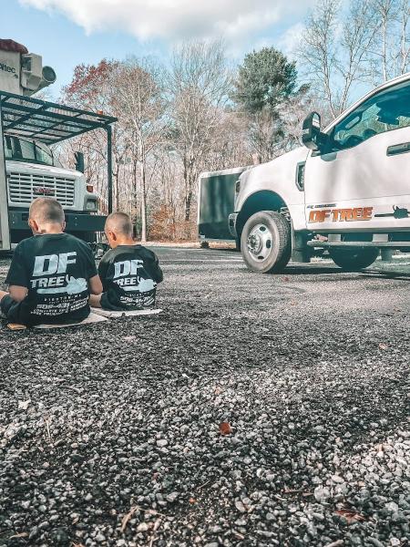 DF Tree LLC