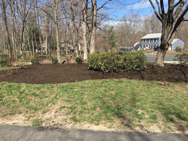 Be & Son Lawn Services