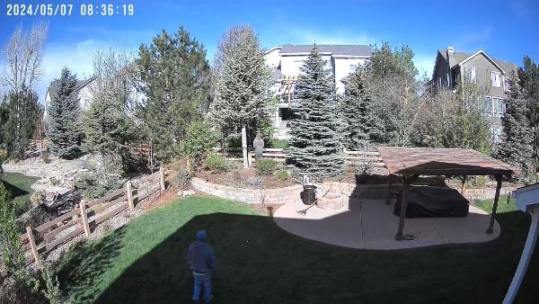 Shady Tree & Lawn Services