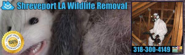 Pest Animal Removal Shreveport