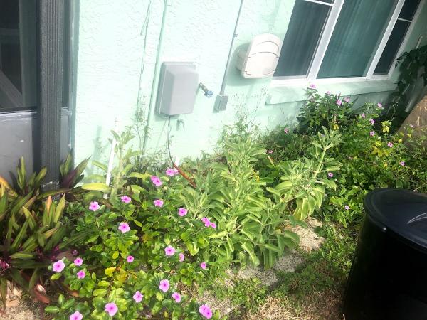 Beachside Termite & Pest Control