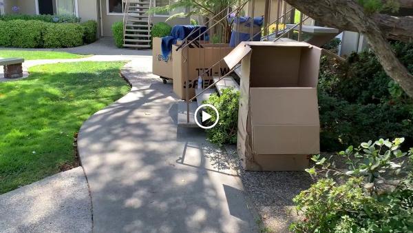 Amazing Movers