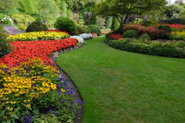 Boston Irrigation