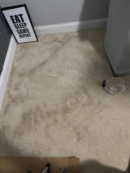Top Notch Carpet and Upholstery Cleaning Services