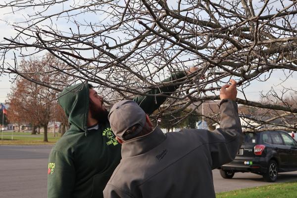 Walker Tree Care Inc.