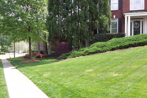 Southern Dreams Landscaping